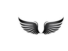 Wing Bird logo images illustration design