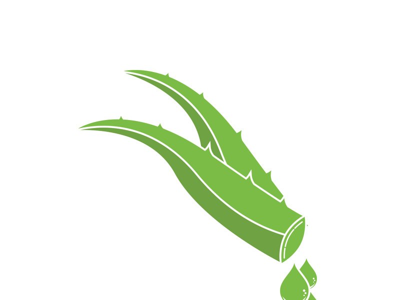 Aloe Vera logo icon design symbol beauty skin care