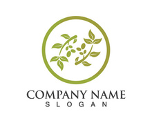 Extra virgin olive oil logo icon design vector illustration