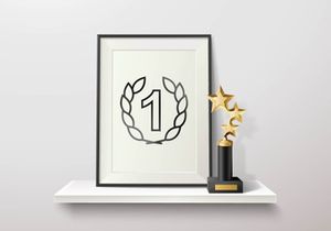 Outline : Awards And Trophy