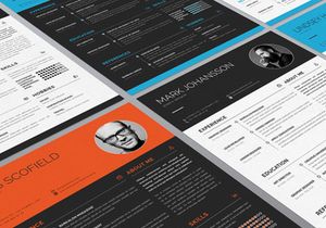 Clean Resume Template