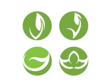Vegan leaf green eco logo nature