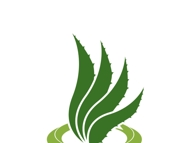 Aloe Vera logo icon design symbol beauty skin care