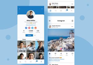 Social media mobile app.