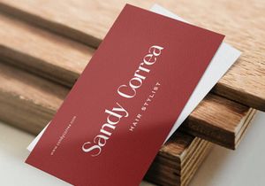 Sandy King - Casual Serif Font