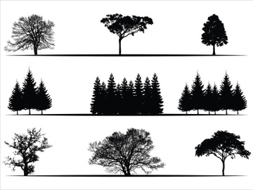Trees Silhouettes Collection preview picture