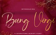 Bung Virgi - Signature Script Font