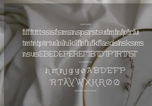 Corina Elegant | Modern Slab Serif