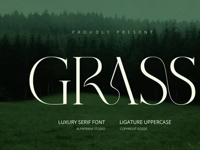 Grass - Serif Font
