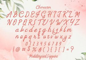 Feny Anjany - Handwritten Font