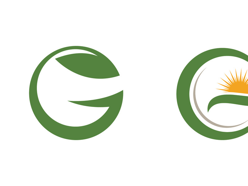 Tree leaf ecology nature  Healthy vegan concept element