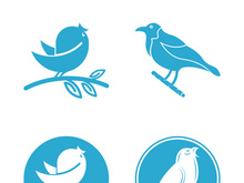 Elegant bird logo icon design and symbol vector template