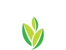 Logos of green tree leaf ecology nature element vector