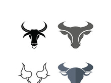 Bull head logo vector icon design illustration