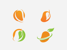 Fresh mango fruit vector illustration logo icon
