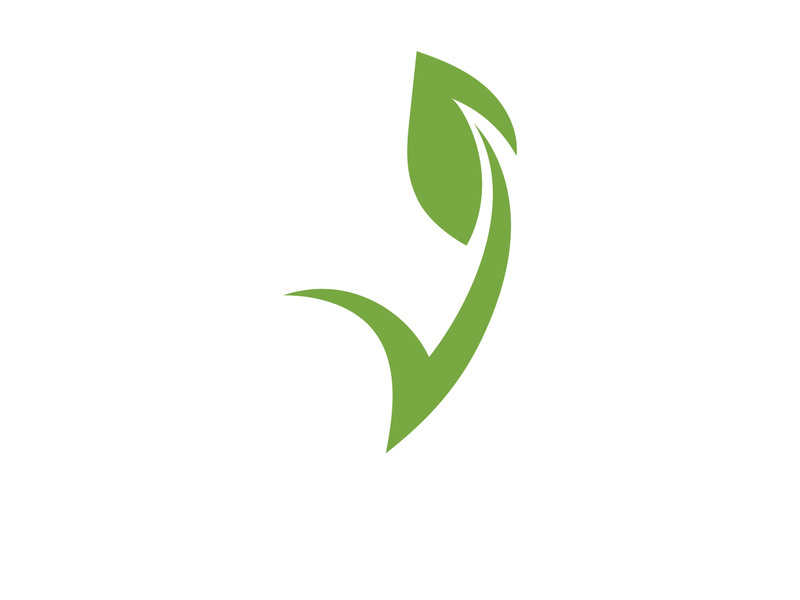 Vegan leaf green eco logo nature