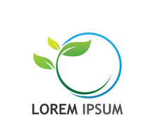 Natural green leaf logo design.