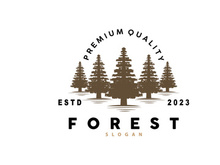 Forest Logo, Vector Forest Wood With Pine Trees Design