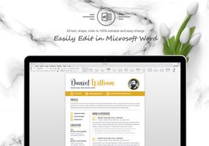 Professional Word Resume Template