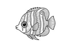 Stylized fish swimming vector illustration flat design