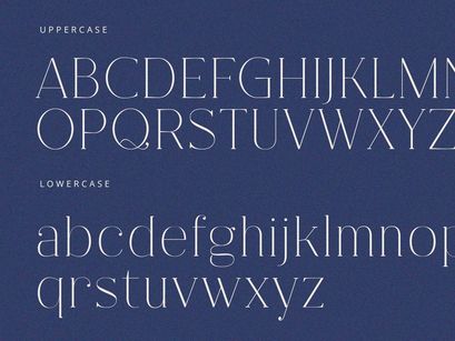 Fracture - Serif Font