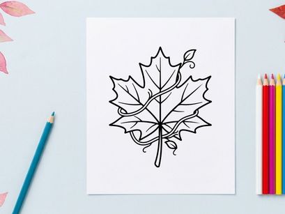 Close-up of a detailed maple leaf. Natural autumn foliage with vibrant colors.