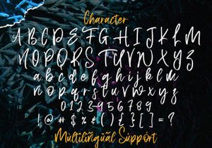 Aquilla - Brush Script Font