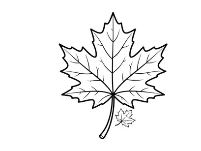 Close-up of a detailed maple leaf. Natural autumn foliage with vibrant colors.