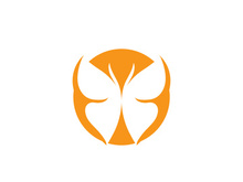 Butterfly icon design