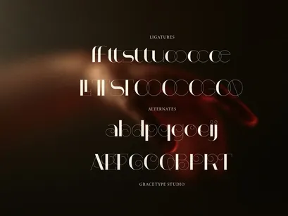 Curlovia | Display Elegant Font