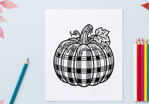 Plaid pumpkin line art illustration. Autumn harvest drawing with buffalo check pattern.