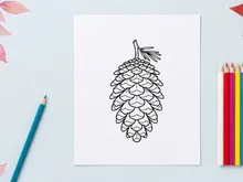 Close-up pine cone pada latar belakang putih. Detail botani alami untuk tema alam dan luar ruangan.