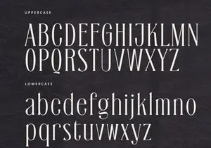 Silveridge - Serif Font