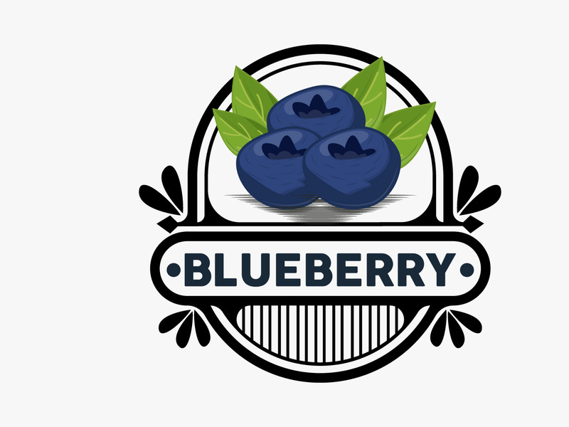 Blueberry Logo, Garden Farm Fresh Fruit Vector, Elegant Simple Design
