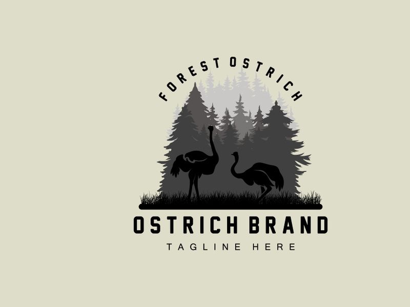 Ostrich Logo Design, Desert Animal Illustration, Living In The Forest, Vector Camel Brand Product