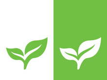 Logos of green tree leaf ecology nature element vector