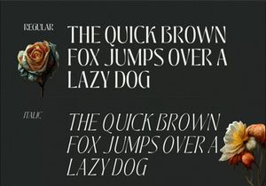 Jedira - Modern Branding Logo font