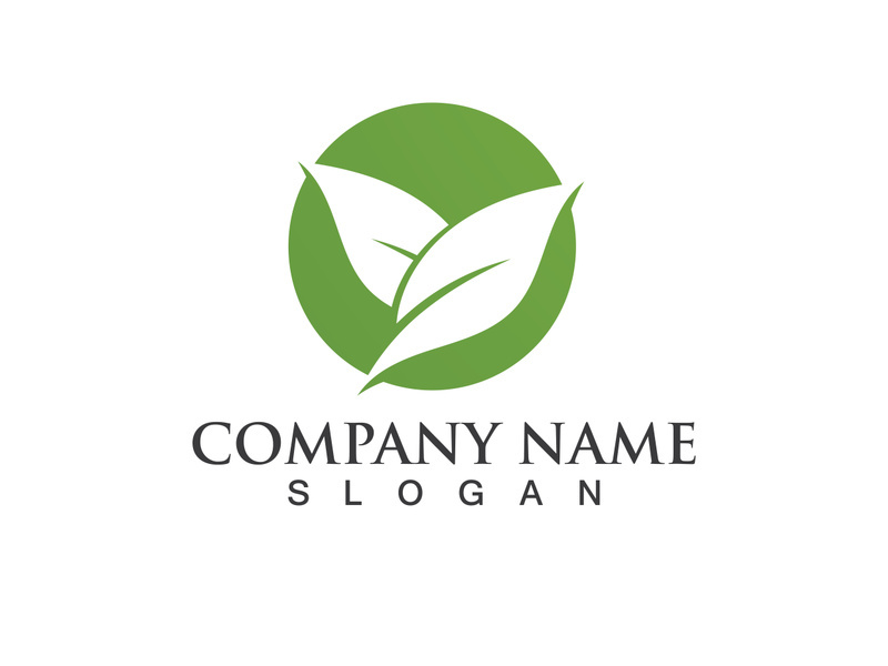 Green leaf logo Vector