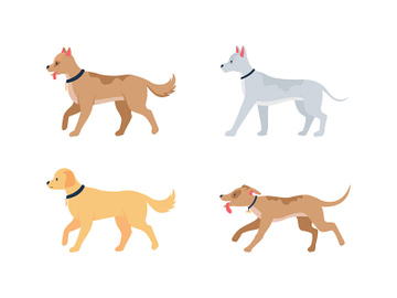Various dog breeds flat color vector detailed character set preview picture