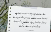 Kasfia Sirius | Classic Script