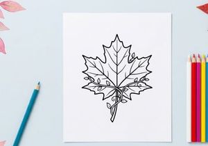 Detailed maple leaf illustration. Artistic botanical drawing for nature themes