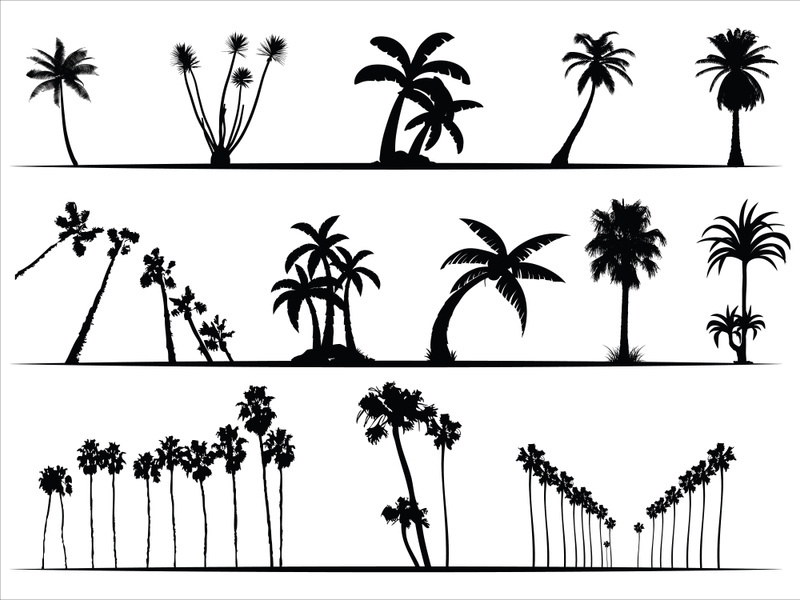 Palm Tree Collection and Silhouettes