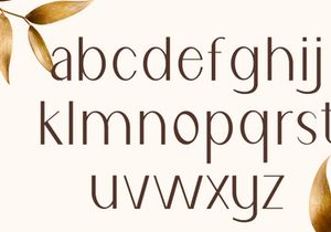 Naomi Elegant Typeface