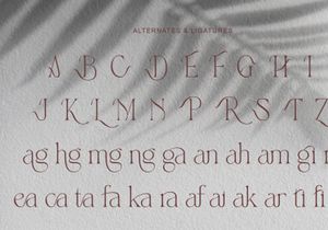 gartis typeface