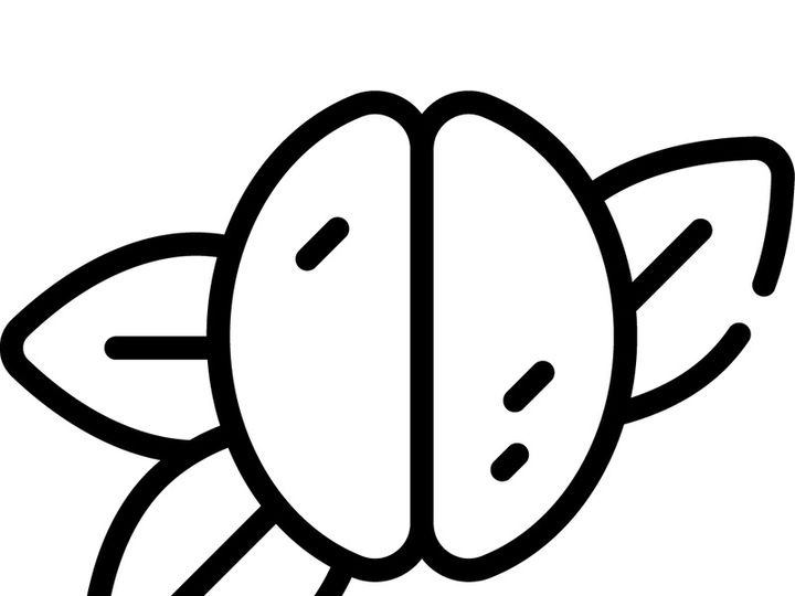 Coffee Shop Freebie Flaticon