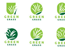 Green Grass Logo, Nature Plant Vector