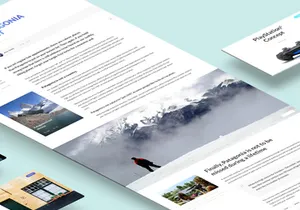 Patagonia UI Kit [PSD]