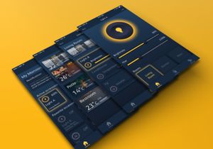 Smart Home Concept