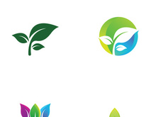 Natural green leaf logo design.