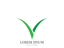 V  Logo Template vector icon illustration design